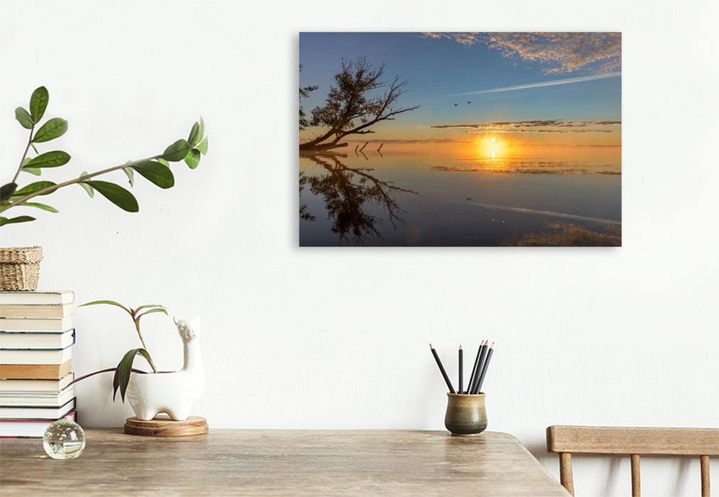 Premium Textil-Leinwand Nebeliger Morgen über der Müritz