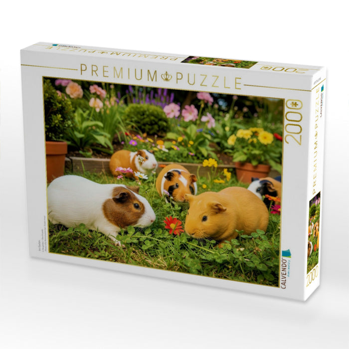 Im Garten. - CALVENDO Foto-Puzzle'