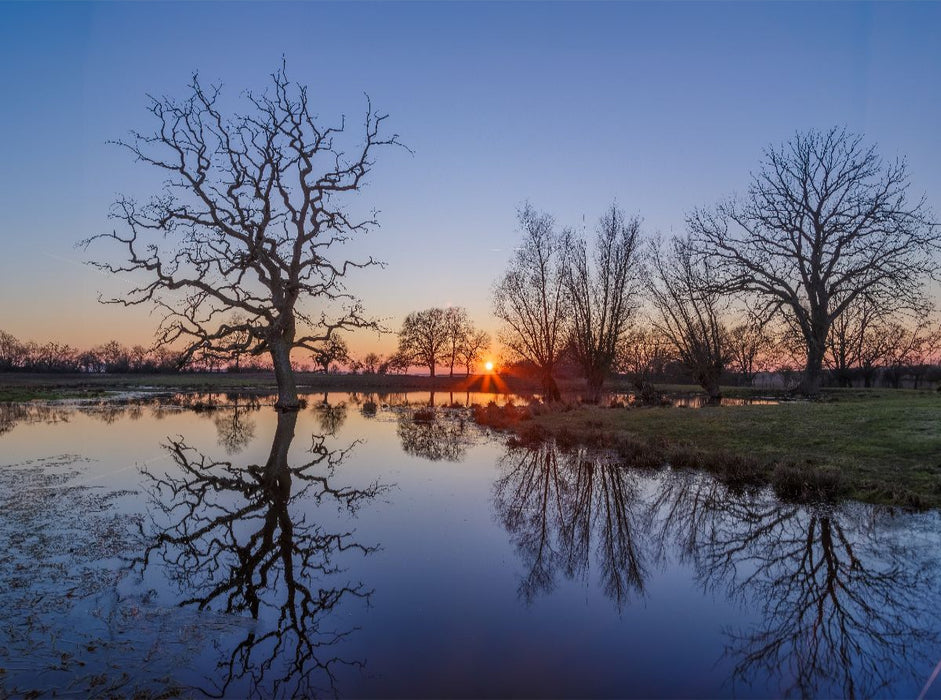 Spiegelglatter Teich bei Sonnenuntergang im März - CALVENDO Foto-Puzzle'