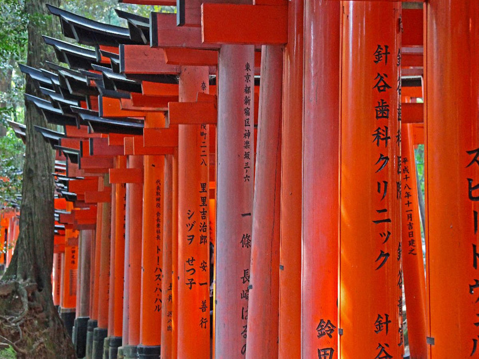 Torii-Tunnel des Fushimi Inari Schreins - CALVENDO Foto-Puzzle'