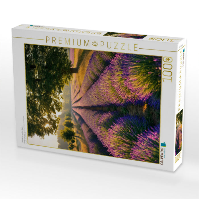 Lavendel im sanften Regen - CALVENDO Foto-Puzzle'