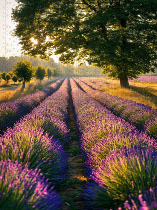 Lavendel im sanften Regen - CALVENDO Foto-Puzzle'