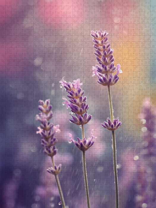 Ein Motiv aus dem Kalender Der Sommer blüht violett - CALVENDO Foto-Puzzle'