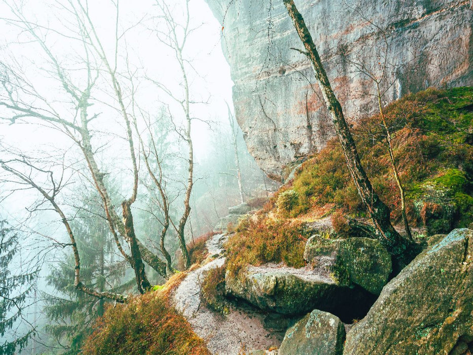 Unterer Terrassenweg, Sächsische Schweiz - CALVENDO Foto-Puzzle'