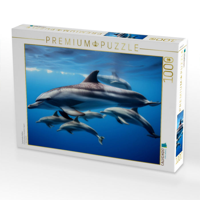Zauberhafte Delfine - CALVENDO Foto-Puzzle'
