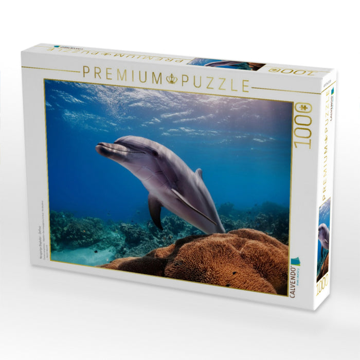 Neugierige Begleiter - Delfine - CALVENDO Foto-Puzzle'