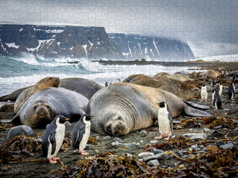 See - Elefanten: Groß im Auftritt, sanft im Herzen. - CALVENDO Foto-Puzzle'