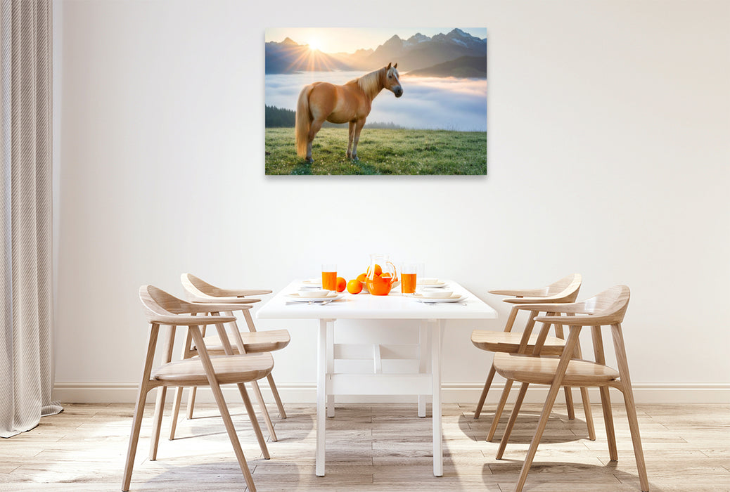 Premium Textil-Leinwand Haflinger Pferd im Morgennebel