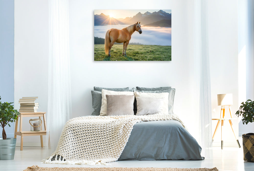 Premium Textil-Leinwand Haflinger Pferd im Morgennebel