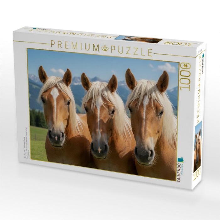 Drei Freunde - Haflinger Pferde - CALVENDO Foto-Puzzle'