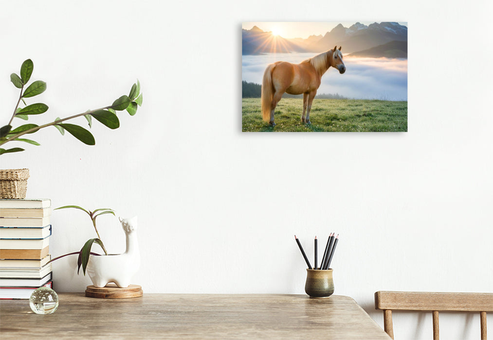 Premium Textil-Leinwand Haflinger Pferd im Morgennebel