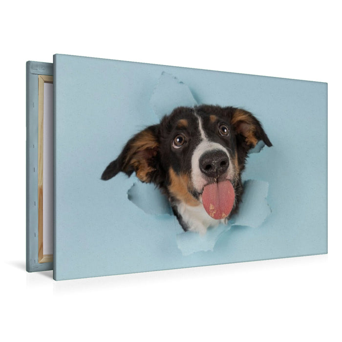 Premium Textil-Leinwand Tadaaaa.