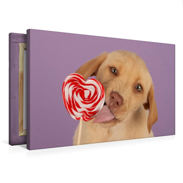 Premium Textil-Leinwand Ein Motiv aus dem Kalender Achtung, die Welpen kommen.