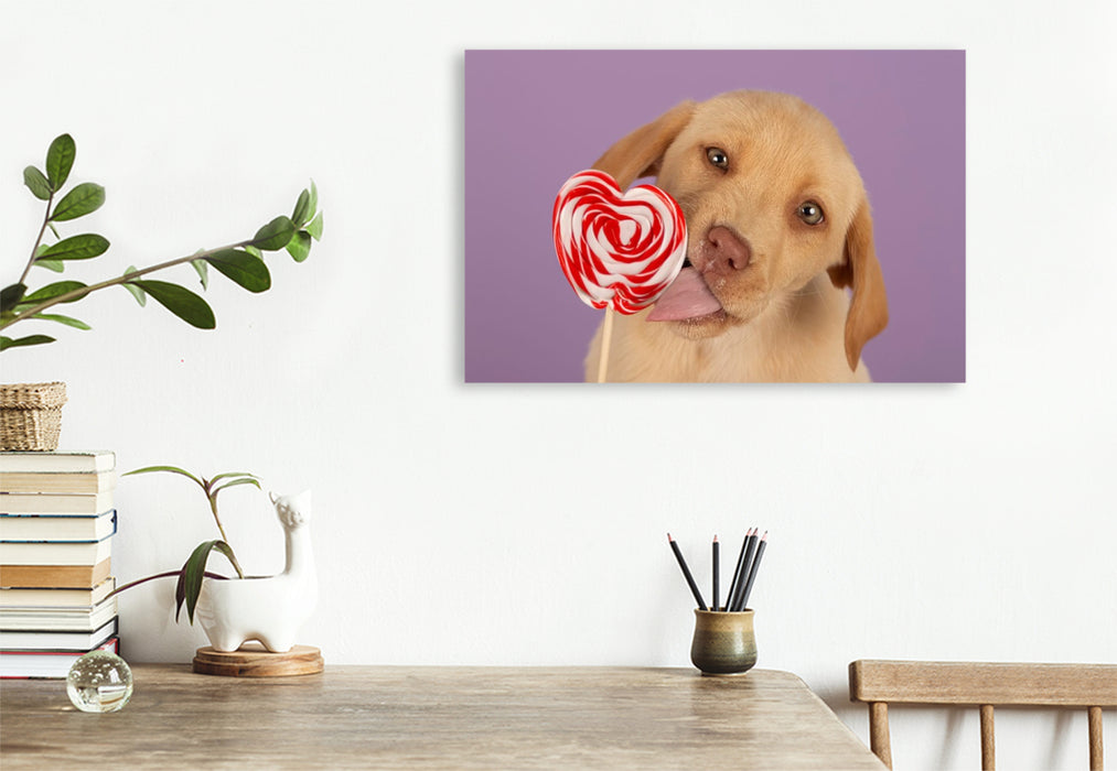 Premium Textil-Leinwand Ein Motiv aus dem Kalender Achtung, die Welpen kommen.