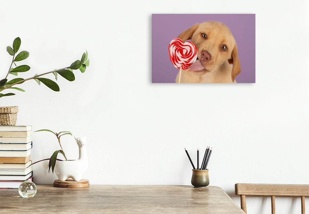 Premium Textil-Leinwand Ein Motiv aus dem Kalender Achtung, die Welpen kommen.