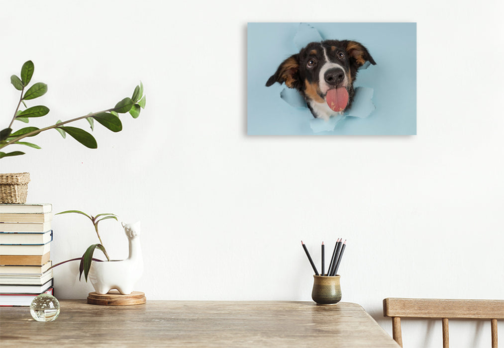 Premium Textil-Leinwand Tadaaaa.