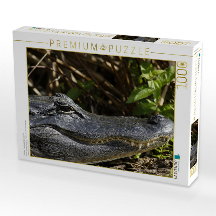 Alligator, Everglades Nationalpark - CALVENDO Foto-Puzzle'