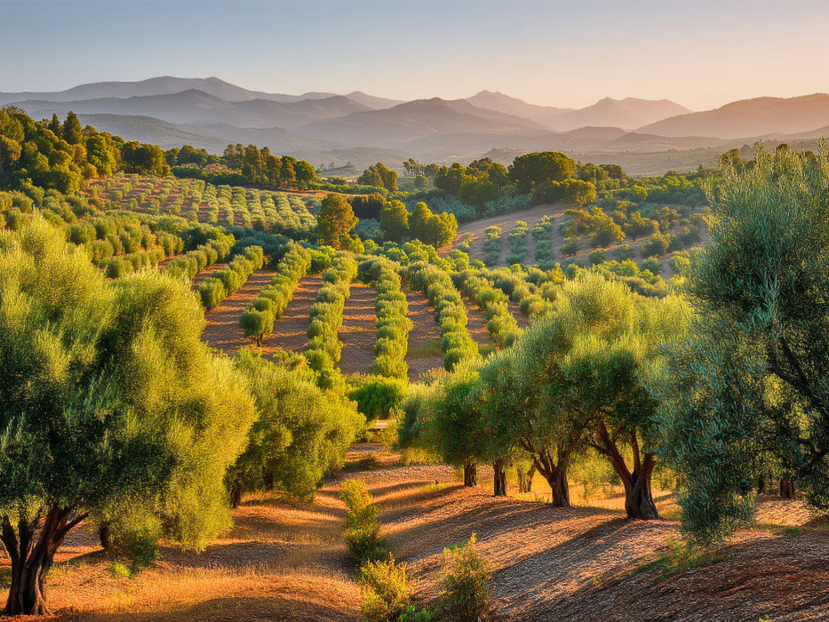 Ein grünes Gedächtnis der Landschaft - CALVENDO Foto-Puzzle'