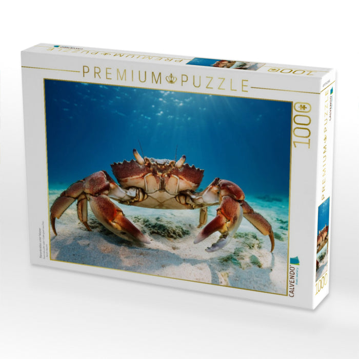 Riesenkrabbe unter Wasser - CALVENDO Foto-Puzzle'