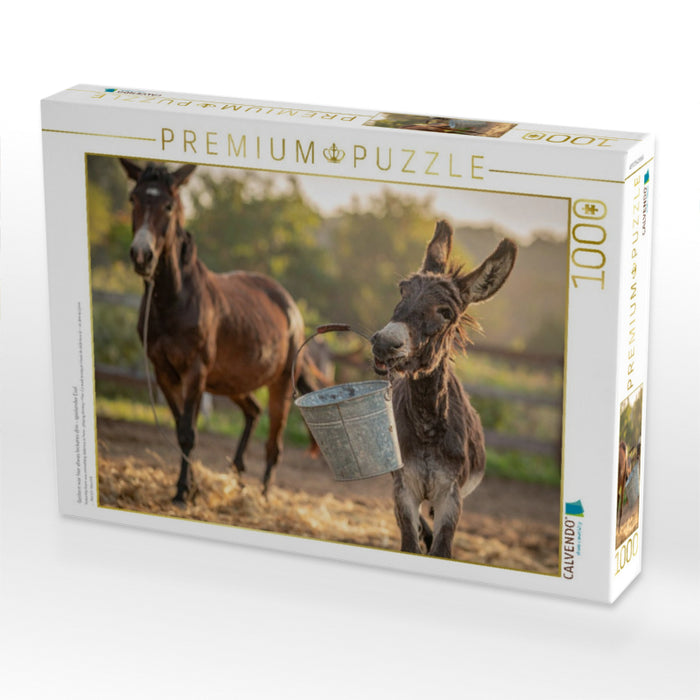 Gestern war hier etwas leckeres drin - spielender Esel - CALVENDO Foto-Puzzle'