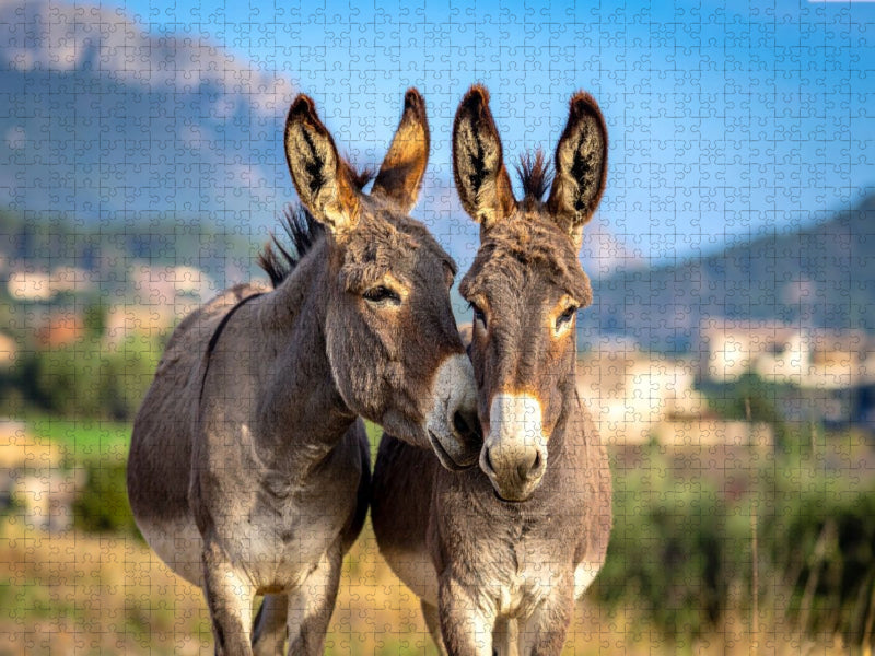 Zwei Eselfreunde - CALVENDO Foto-Puzzle'