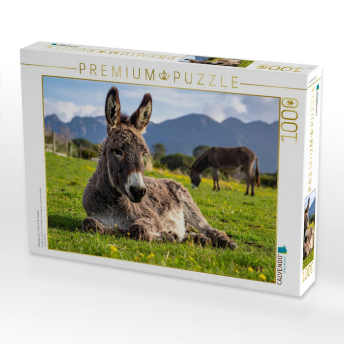 Mittagspause - Esel auf der Koppel - CALVENDO Foto-Puzzle'
