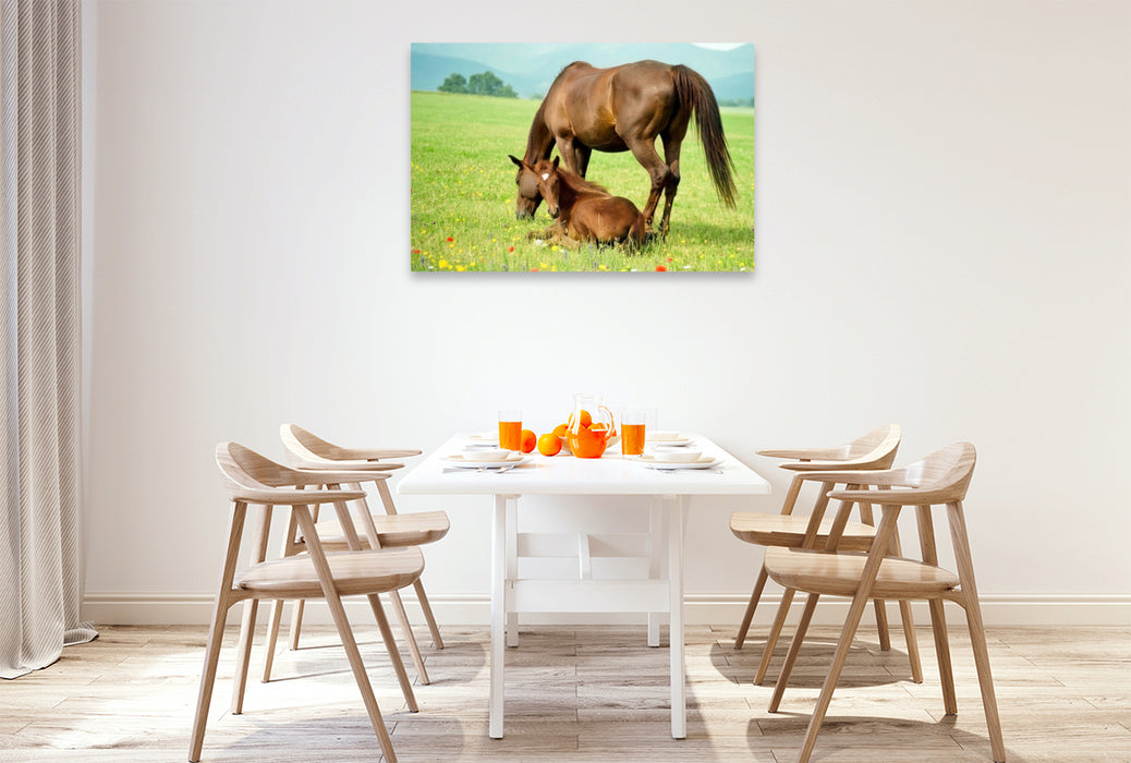 Premium Textil-Leinwand Warmblutstute und Fohlen
