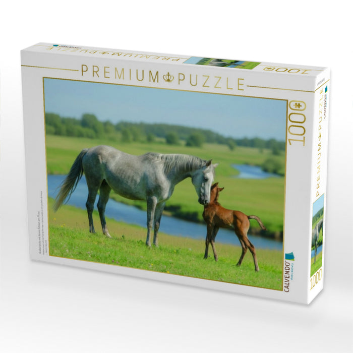 Araberstute mit ihrem Fohlen am Fluss - CALVENDO Foto-Puzzle'