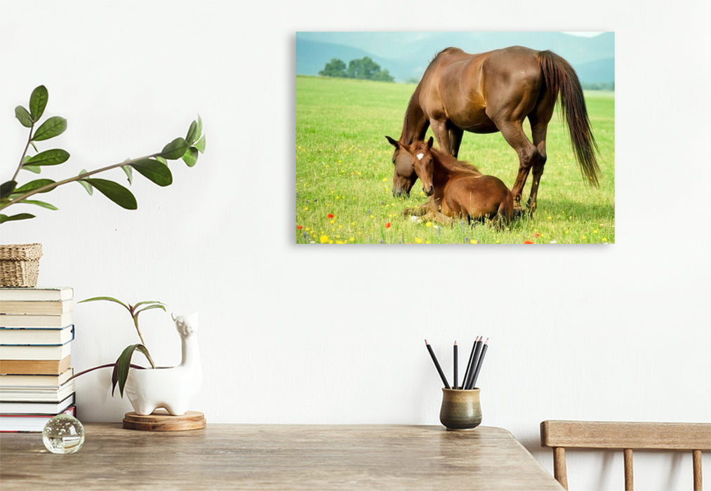Premium Textil-Leinwand Warmblutstute und Fohlen