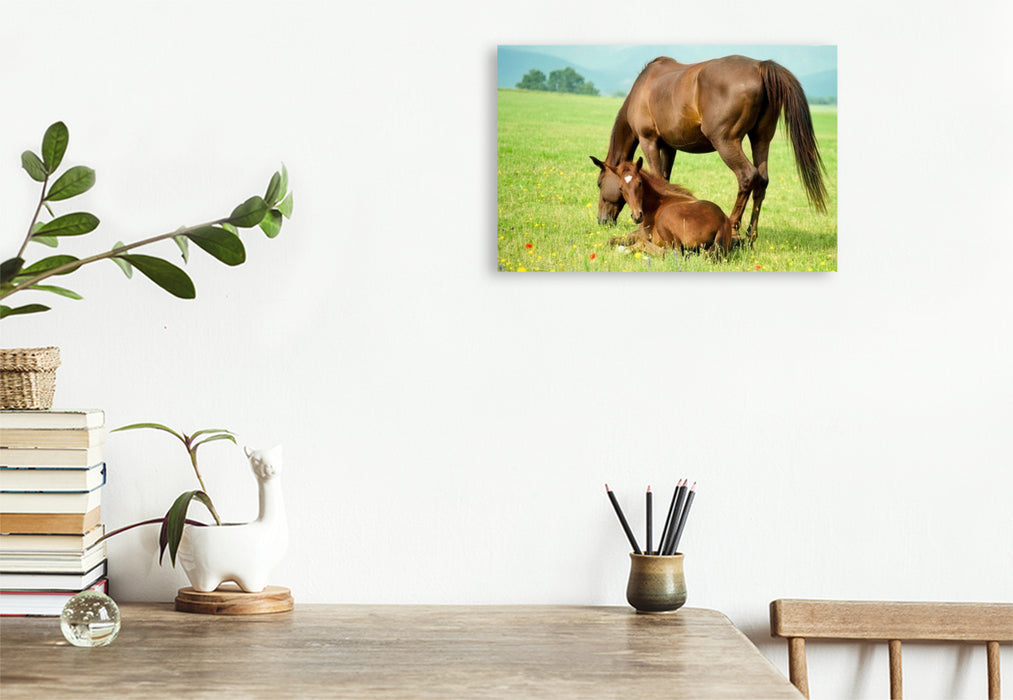 Premium Textil-Leinwand Warmblutstute und Fohlen