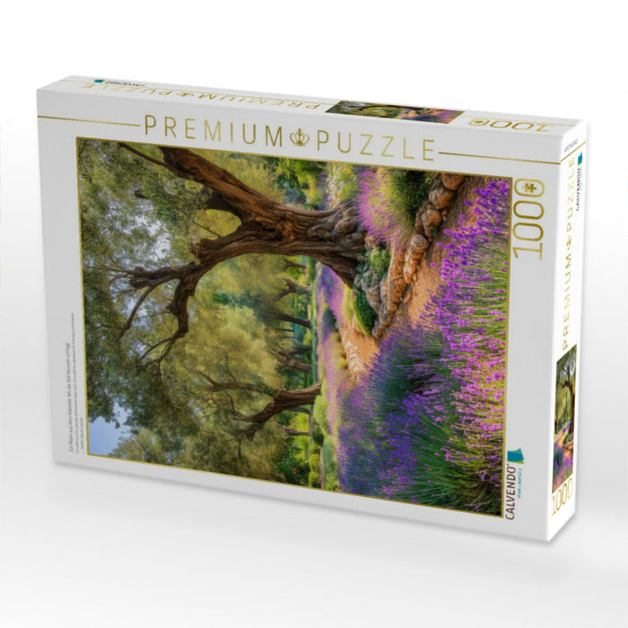 Ein Motiv aus dem Kalender Wo die Zeit Wurzeln schlägt - CALVENDO Foto-Puzzle'