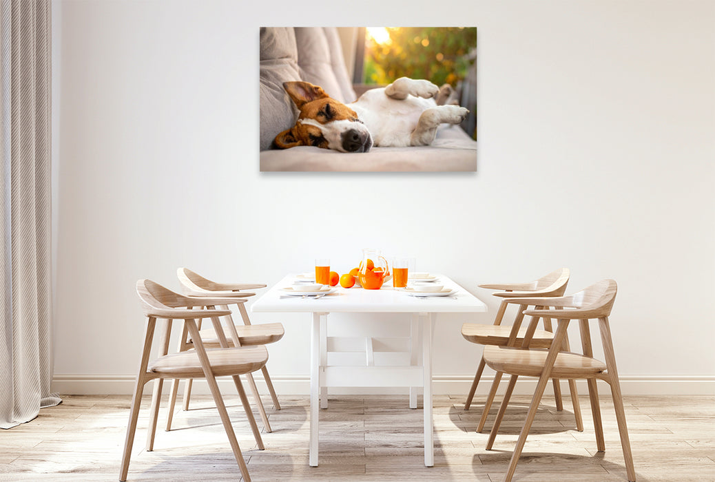 Premium Textil-Leinwand Terrier vor der nächsten Action im seligen Schlaf