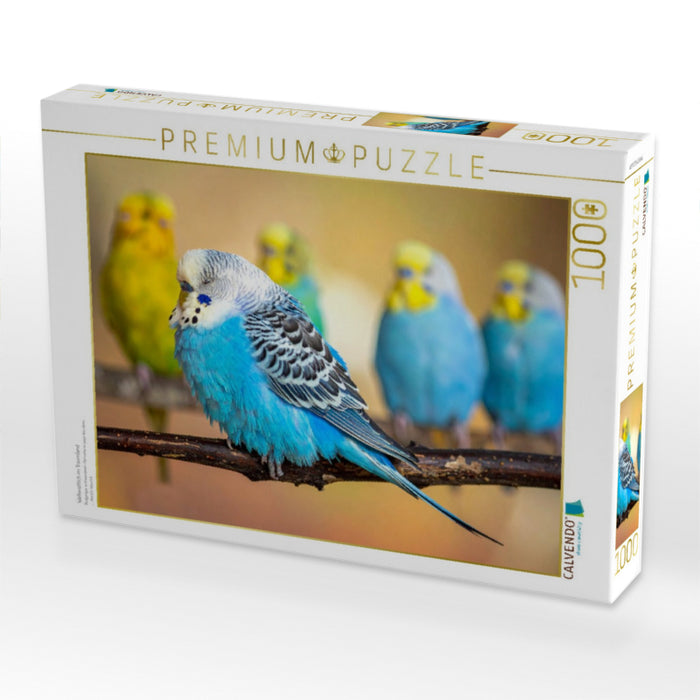 Wellensittich im Traumland - CALVENDO Foto-Puzzle'