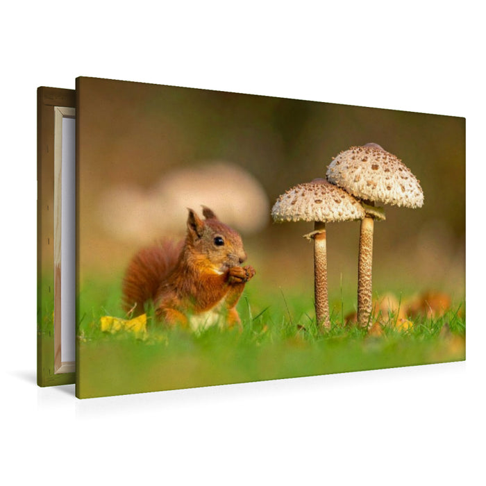 Premium Textil-Leinwand Parasolpilz und Eichhörnchen