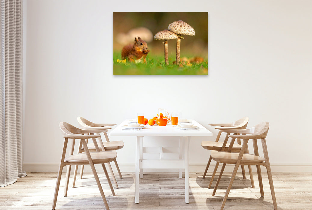 Premium Textil-Leinwand Parasolpilz und Eichhörnchen