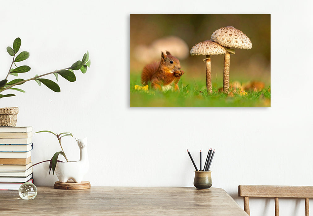 Premium Textil-Leinwand Parasolpilz und Eichhörnchen