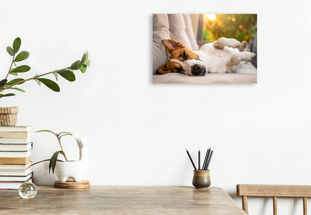 Premium Textil-Leinwand Terrier vor der nächsten Action im seligen Schlaf