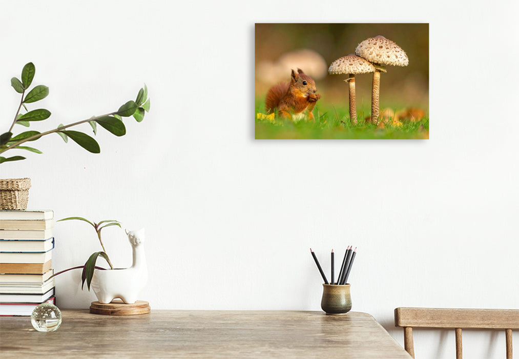 Premium Textil-Leinwand Parasolpilz und Eichhörnchen