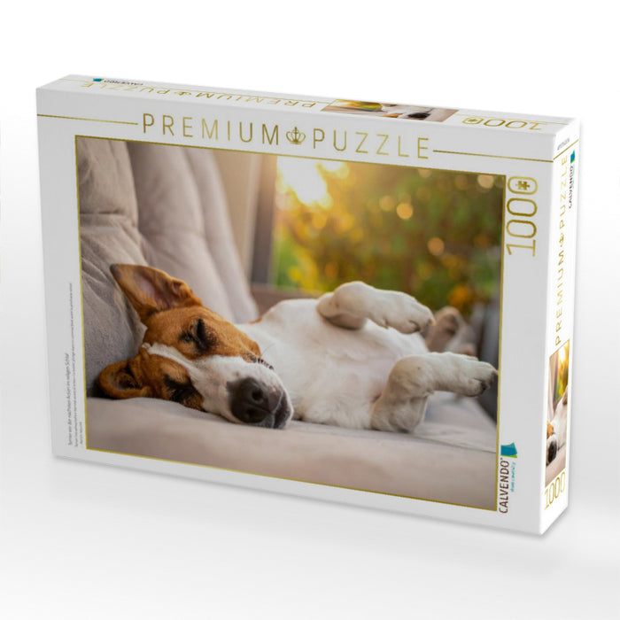 Terrier vor der nächsten Action im seligen Schlaf - CALVENDO Foto-Puzzle'