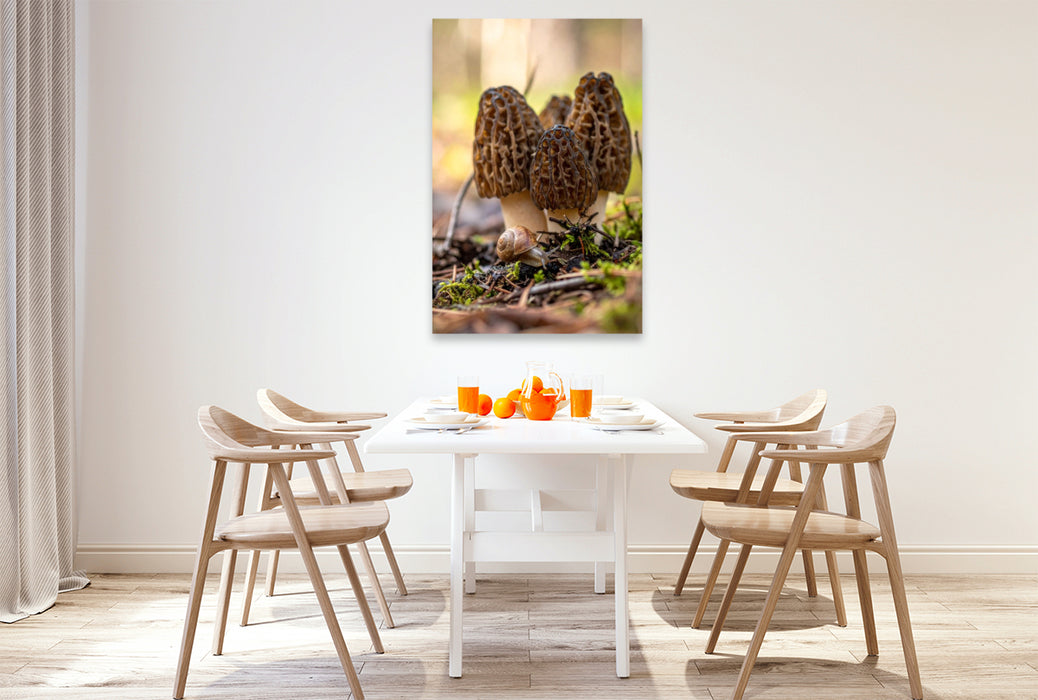 Premium Textil-Leinwand Morcheln und Schnecke