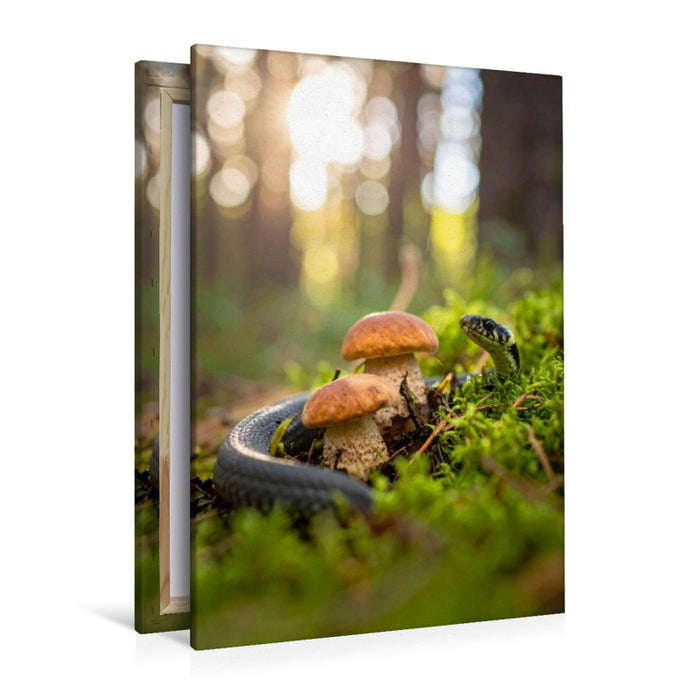 Premium Textil-Leinwand Rotkappen und Ringelnatter