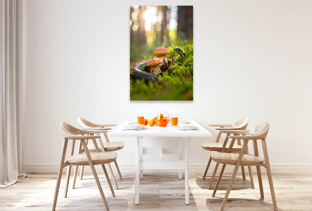 Premium Textil-Leinwand Rotkappen und Ringelnatter