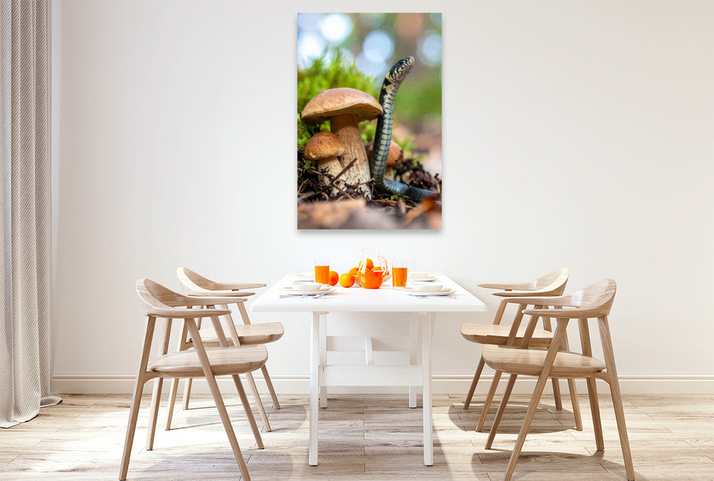 Premium Textil-Leinwand Steinpilz und Ringelnatter