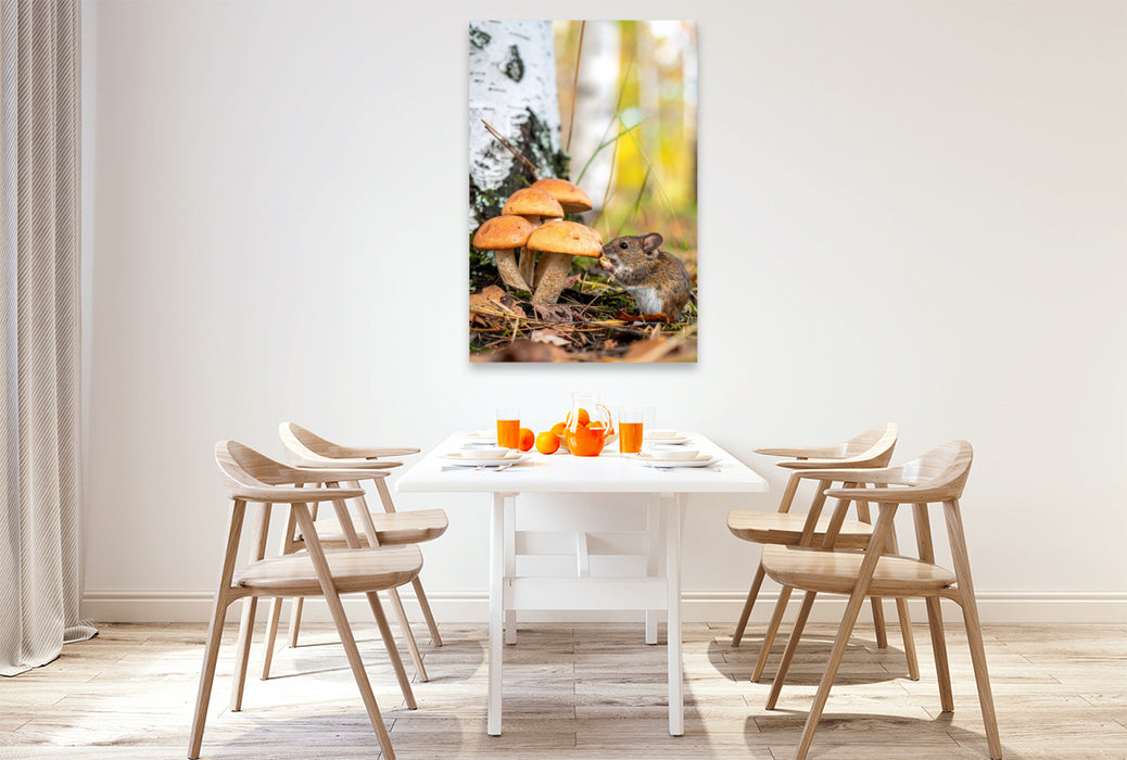 Premium Textil-Leinwand Birkenpilze und Maus