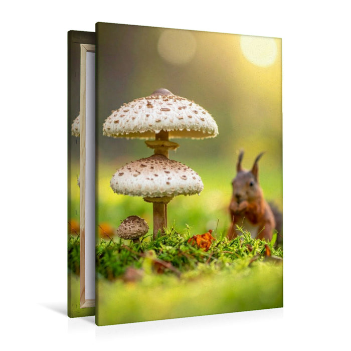 Premium Textil-Leinwand Eichhörnchen und Parasolpilze auf der Wiese