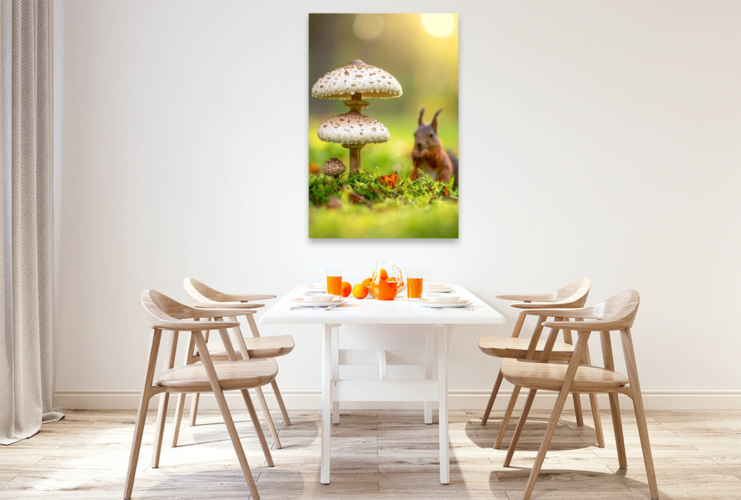 Premium Textil-Leinwand Eichhörnchen und Parasolpilze auf der Wiese