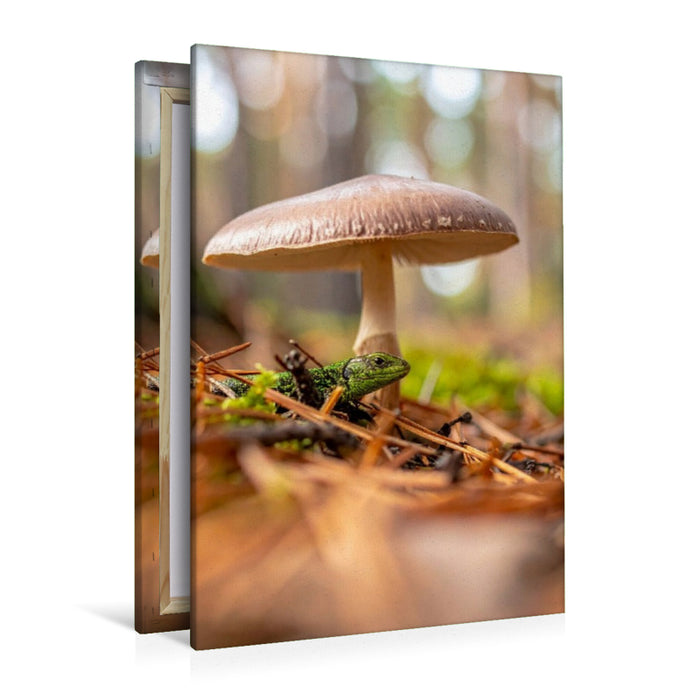 Premium Textil-Leinwand Schirmpilz und Eidechse