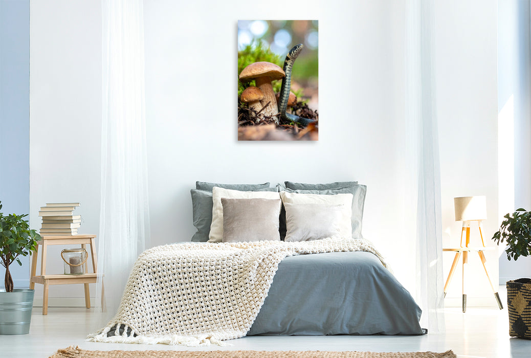 Premium Textil-Leinwand Steinpilz und Ringelnatter