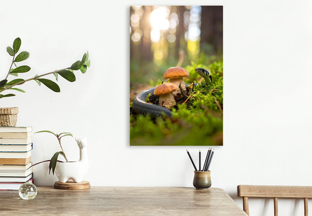 Premium Textil-Leinwand Rotkappen und Ringelnatter