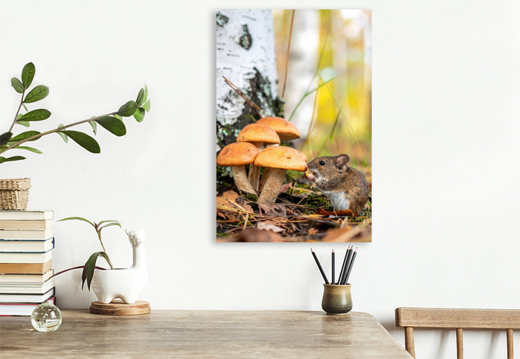 Premium Textil-Leinwand Birkenpilze und Maus